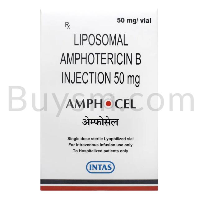 Amphocel 50 mg Injection