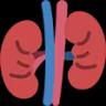 kidney kidney
