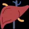 liver liver