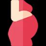 pregnancy pregnancy